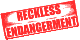 Reckless Endangerment